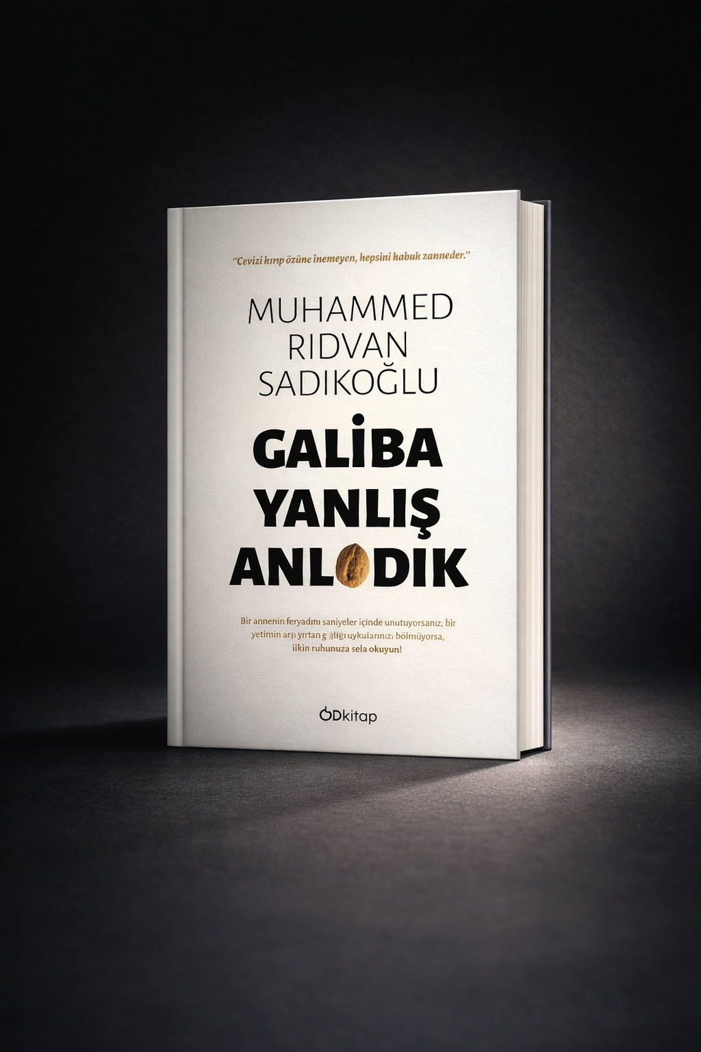 Galiba yanlış anladık 2.cilt